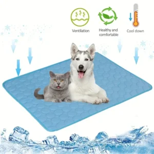 S400c4ab6a1ae4e02a4c99141e547d46aT.webp