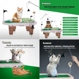 Cats Multi Functional Play Center Activity