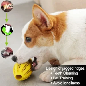 Dog Teeth Cleaning Snack chew toy