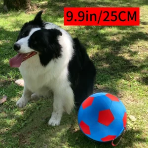 Upgrade Thickened Giant Grazing Ball