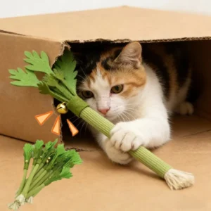 Cat Chew Toys Interactive