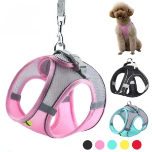 Puppy Harness Set Dog Accessories Adjustable