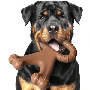 Dog Toys Coral Shaped