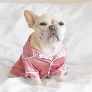 Dog Soft Silk French Bulldog Pajamas