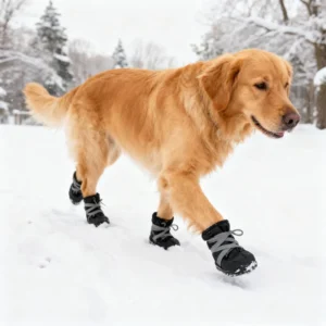 All Weather Dog Boots, Waterproof & Windproof for Outdoor Adventure, Reflective Design