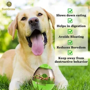 Puppy, Small Dog Breeds, and Cat Treat Ball