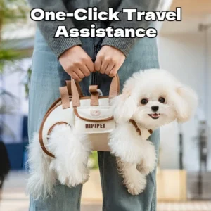 S732205fe8094439dbb77c40393fa376aG.webp