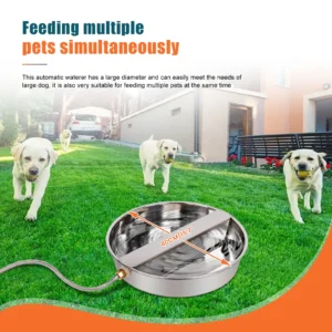 Stainless Steel Automatic Dog Water Feeding Trough