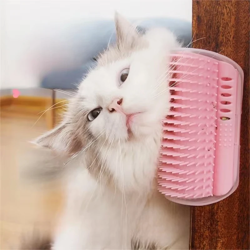 Scb598c1b3f3c4423928d626fabf04e01H.webp