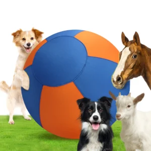 Dog Giant Toy Ball Large Pet Outdoor