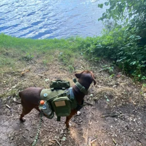 Tactical Dog Harness Collar Leash Molle Pouches For Medium Large Dogs