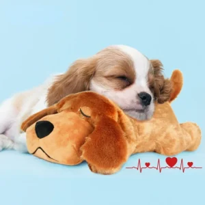 IFOYO Pet Heartbeat Puppy Behavioral Training