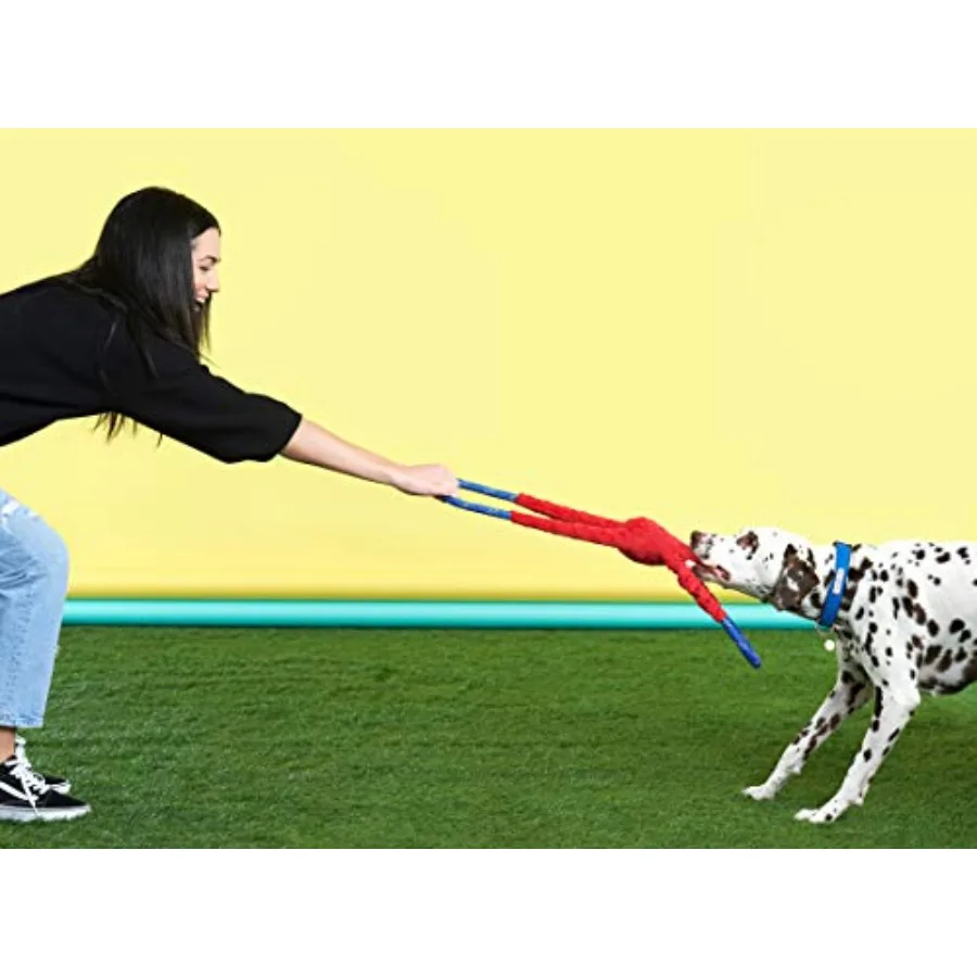 RopeTugz Durable Dog Pull Rope Toy - Blue Monkey Interactive Tug of War - Image 1