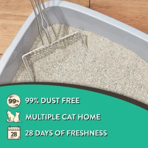4-Pack Special Kitty Clumping Clay Cat Litter Fresh Scent 20lbs Jug Odor Control Fast Clumping Cat Sand for All Cats - Thumbnail Image 5