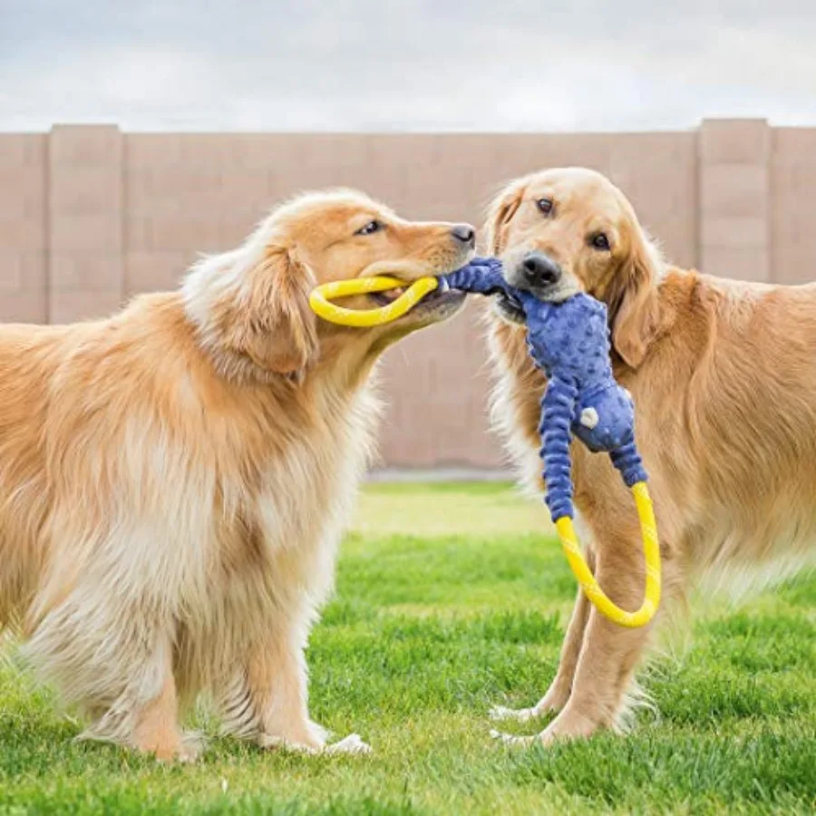 RopeTugz Durable Dog Pull Rope Toy - Blue Monkey Interactive Tug of War - Image 3