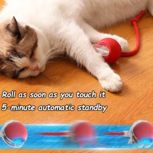 New Cat Interactive Ball Toy Automatic Rolling Ball Faux Tail Rechargeable Smart Pet Toy - Thumbnail Image 4