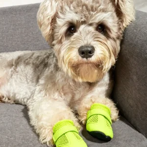 Breathable Mesh Summer Dog Shoes, Soft Sole Indoor Boots for Teddy Poodle - Thumbnail Image 4