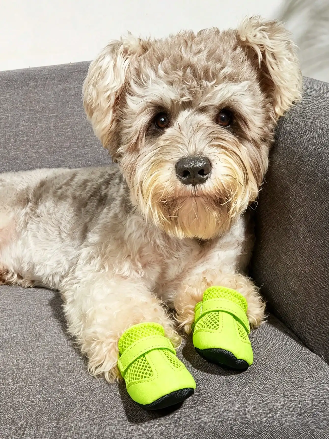 Breathable Mesh Summer Dog Shoes, Soft Sole Indoor Boots for Teddy Poodle - Image 4
