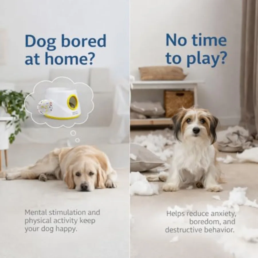 Automatic Dog, Interactive Fetch Machine - Image 3