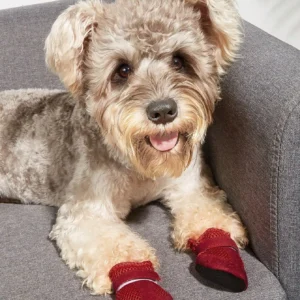 Breathable Mesh Summer Dog Shoes, Soft Sole Indoor Boots for Teddy Poodle - Thumbnail Image 3