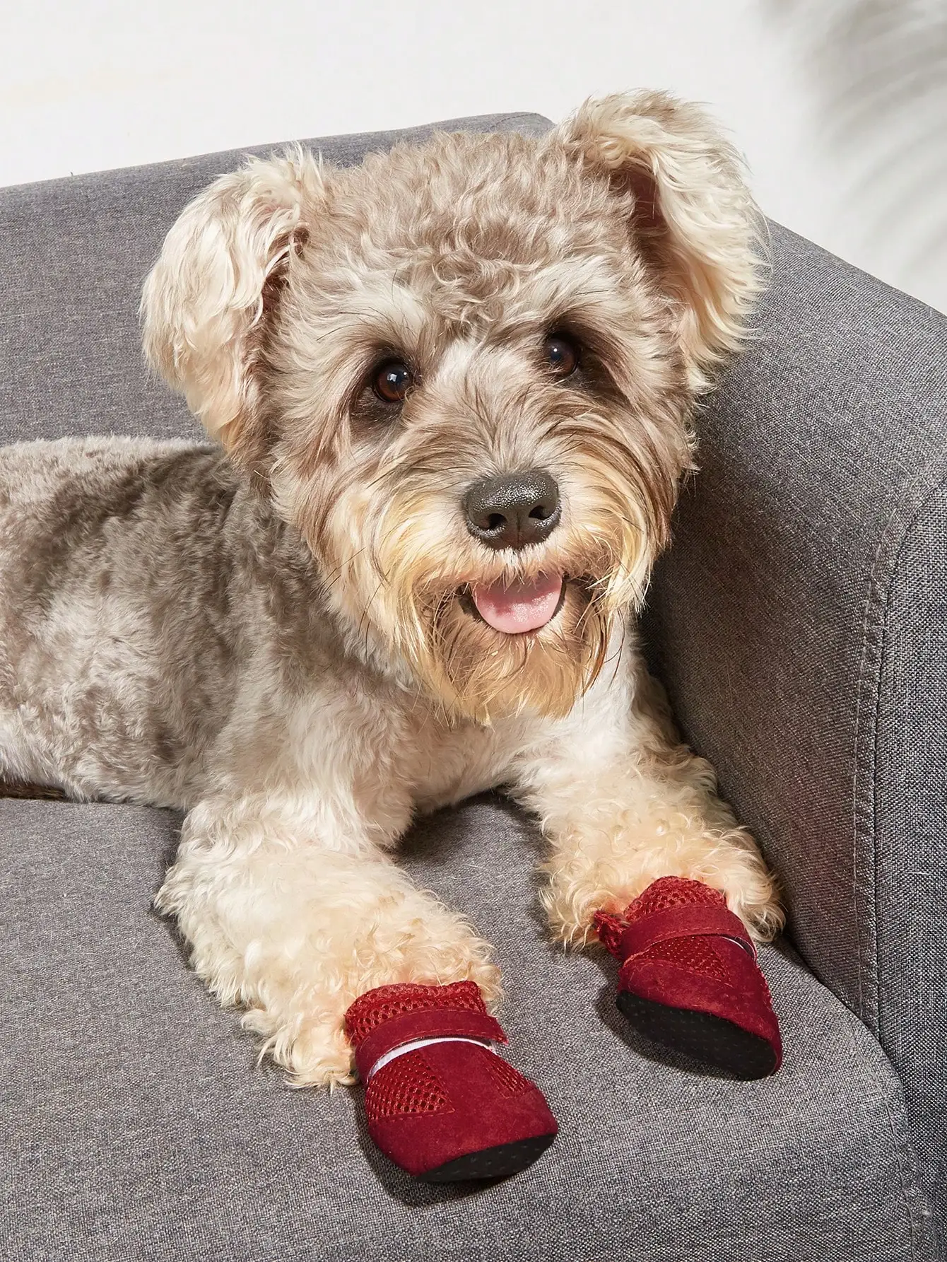 Breathable Mesh Summer Dog Shoes, Soft Sole Indoor Boots for Teddy Poodle - Image 3