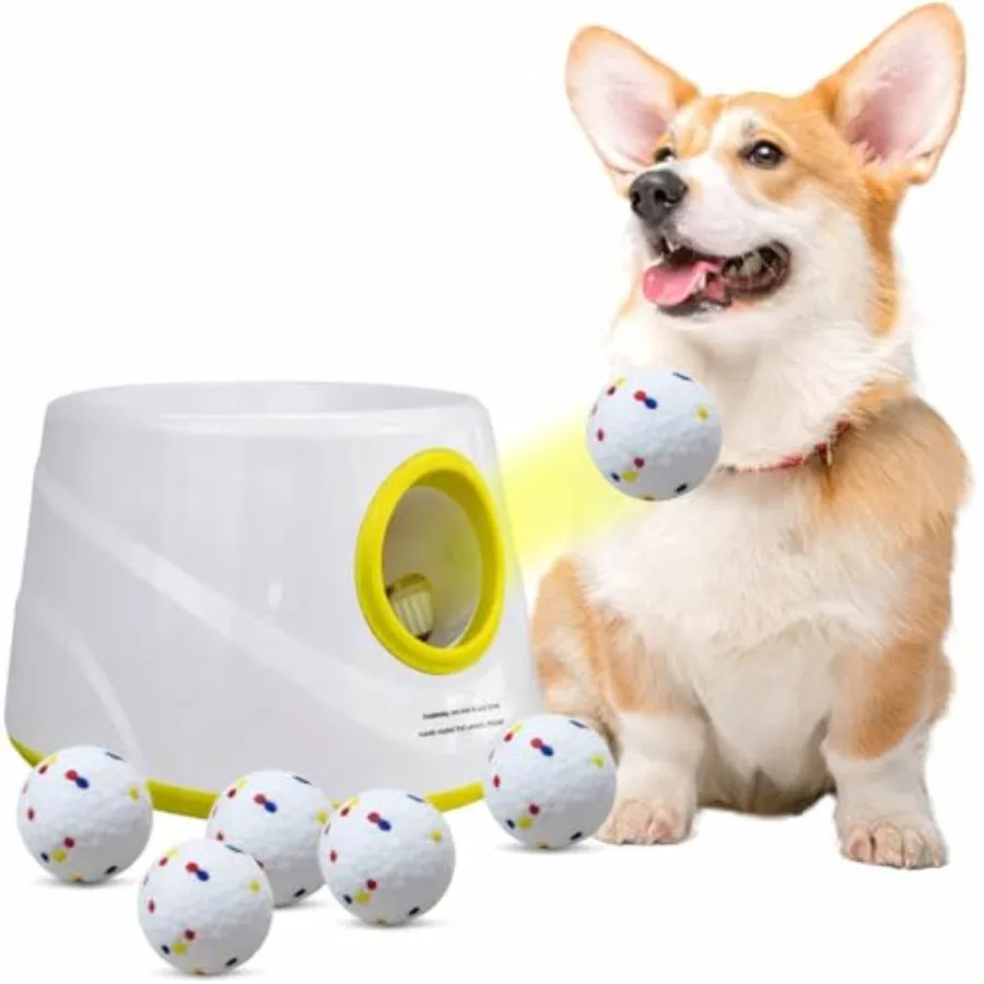 Automatic Dog, Interactive Fetch Machine - Image 2