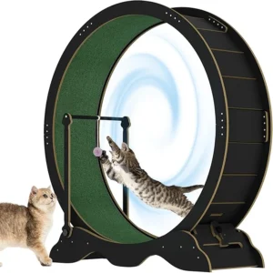 Cat Exercise Wheel, 45-Inch Large Cat Treadmill for Indoor Cats, - Thumbnail Image 4