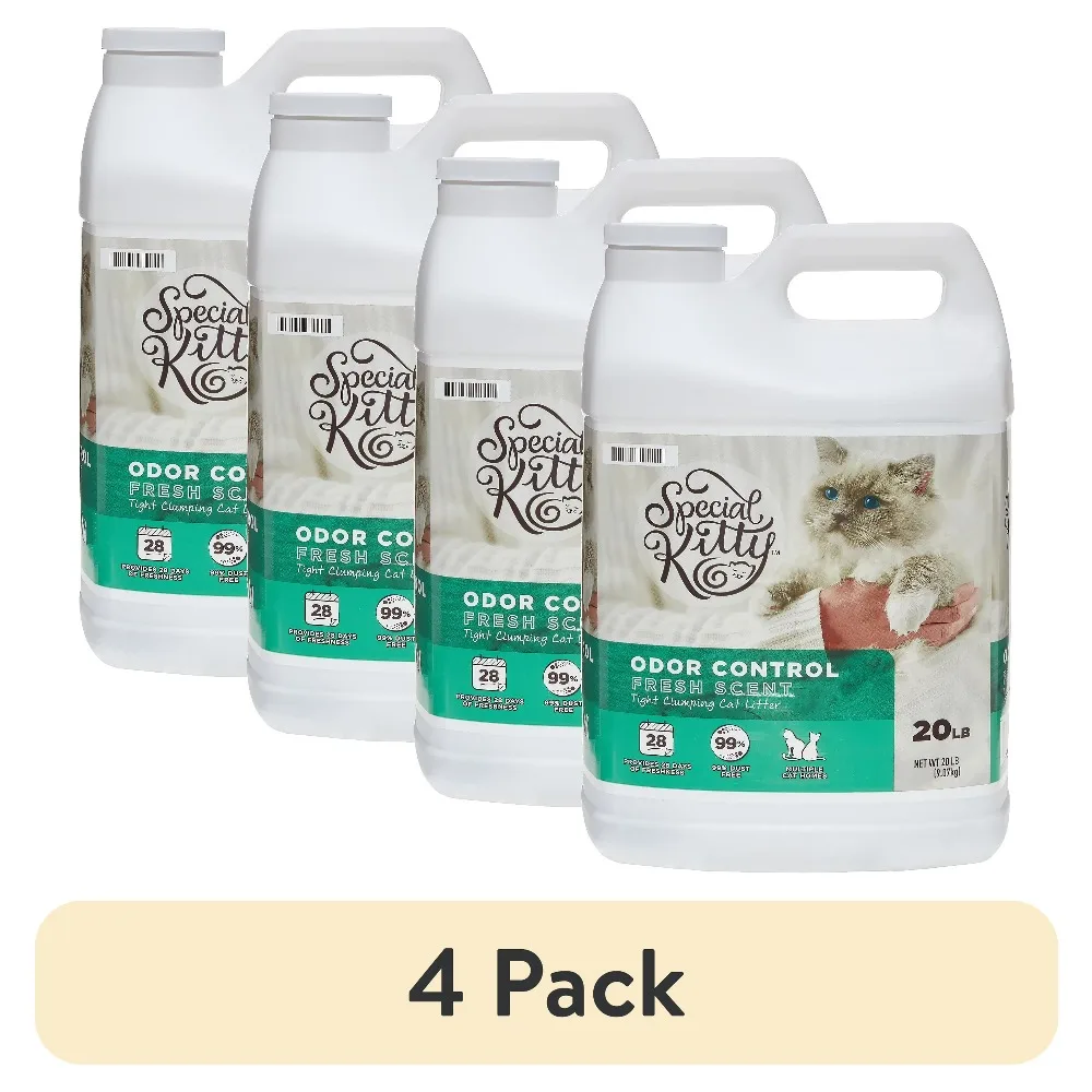 4-Pack Special Kitty Clumping Clay Cat Litter Fresh Scent 20lbs Jug Odor Control Fast Clumping Cat Sand for All Cats - Image 1