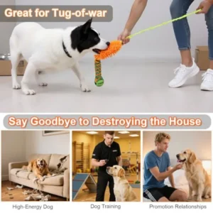 Dog Tug Toy - Interactive Dog Rope Toys, Stretchy Bungee Handle, Strong Squeak Rope Toy - Thumbnail Image 5