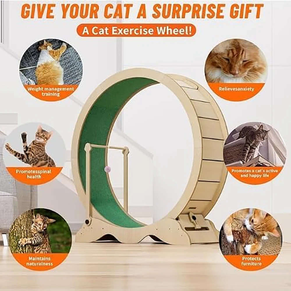 Cat Exercise Wheel, 45-Inch Large Cat Treadmill for Indoor Cats, - Image 1