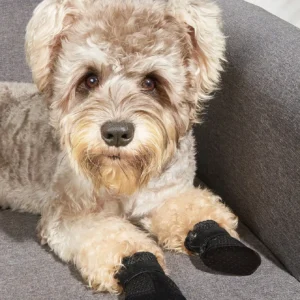 Breathable Mesh Summer Dog Shoes, Soft Sole Indoor Boots for Teddy Poodle - Thumbnail Image 5