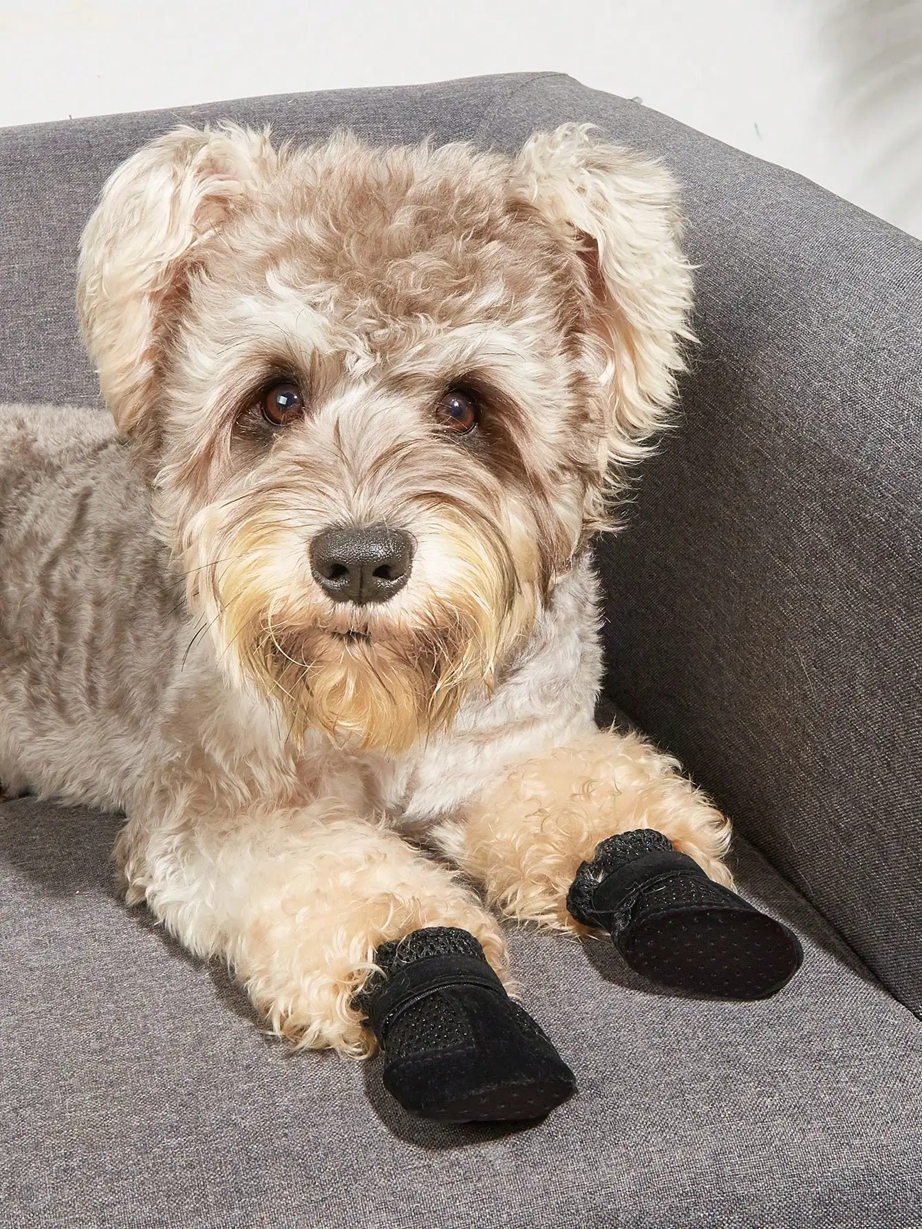 Breathable Mesh Summer Dog Shoes, Soft Sole Indoor Boots for Teddy Poodle - Image 5