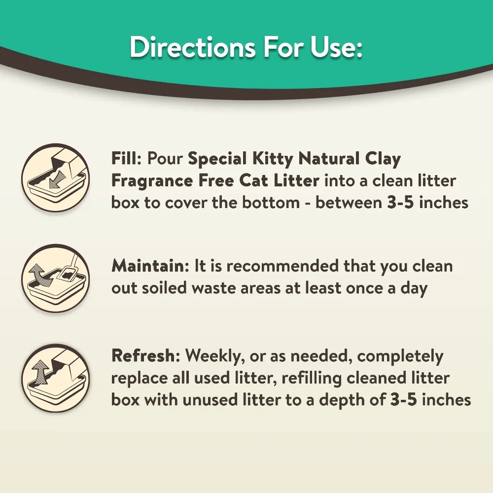 4-Pack Special Kitty Clumping Clay Cat Litter Fresh Scent 20lbs Jug Odor Control Fast Clumping Cat Sand for All Cats - Image 4
