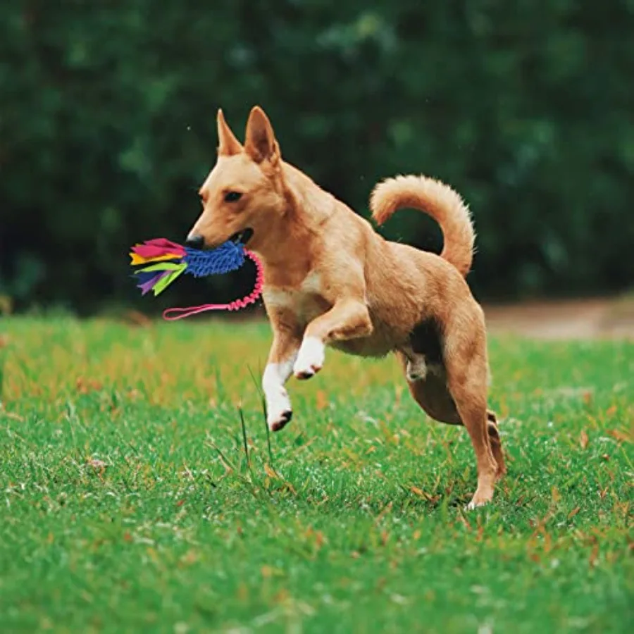 Dog Tug Toy, Dog Toys for Aggressive Chewers, Strong Squeak Rope Toy Easy to GRAP Chew Toy for Large Dogs, Puppies, Middle Dogs - Image 3
