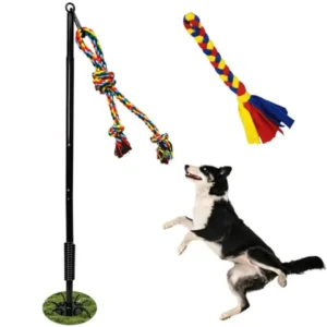 Tether Tug Toy for Dogs, Outdoor Interactive Play Equipment