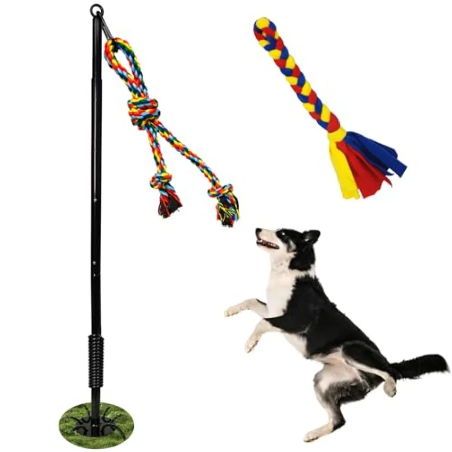 Tether Tug Toy for Dogs, Outdoor Interactive Play Equipment - Image 1