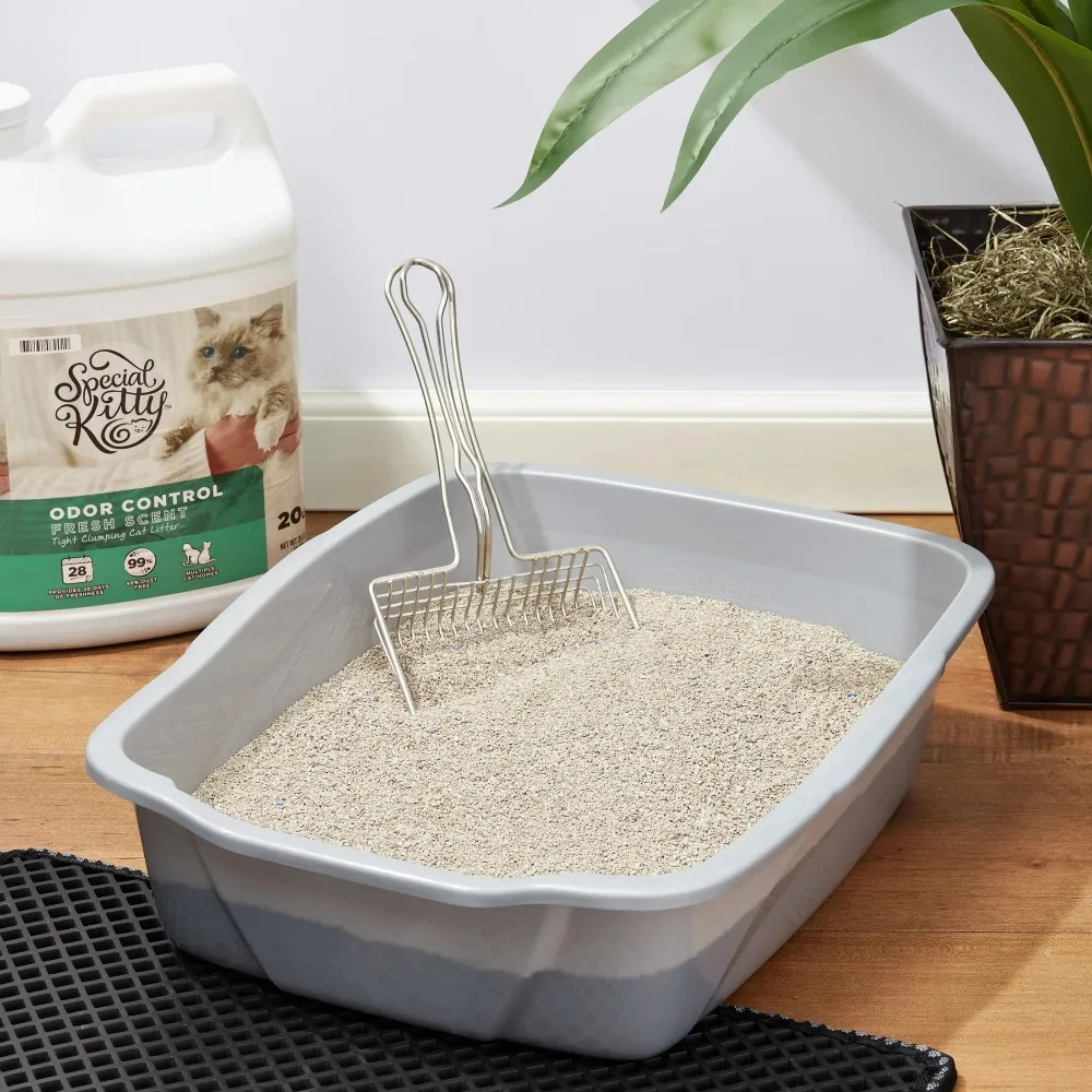 4-Pack Special Kitty Clumping Clay Cat Litter Fresh Scent 20lbs Jug Odor Control Fast Clumping Cat Sand for All Cats - Image 3