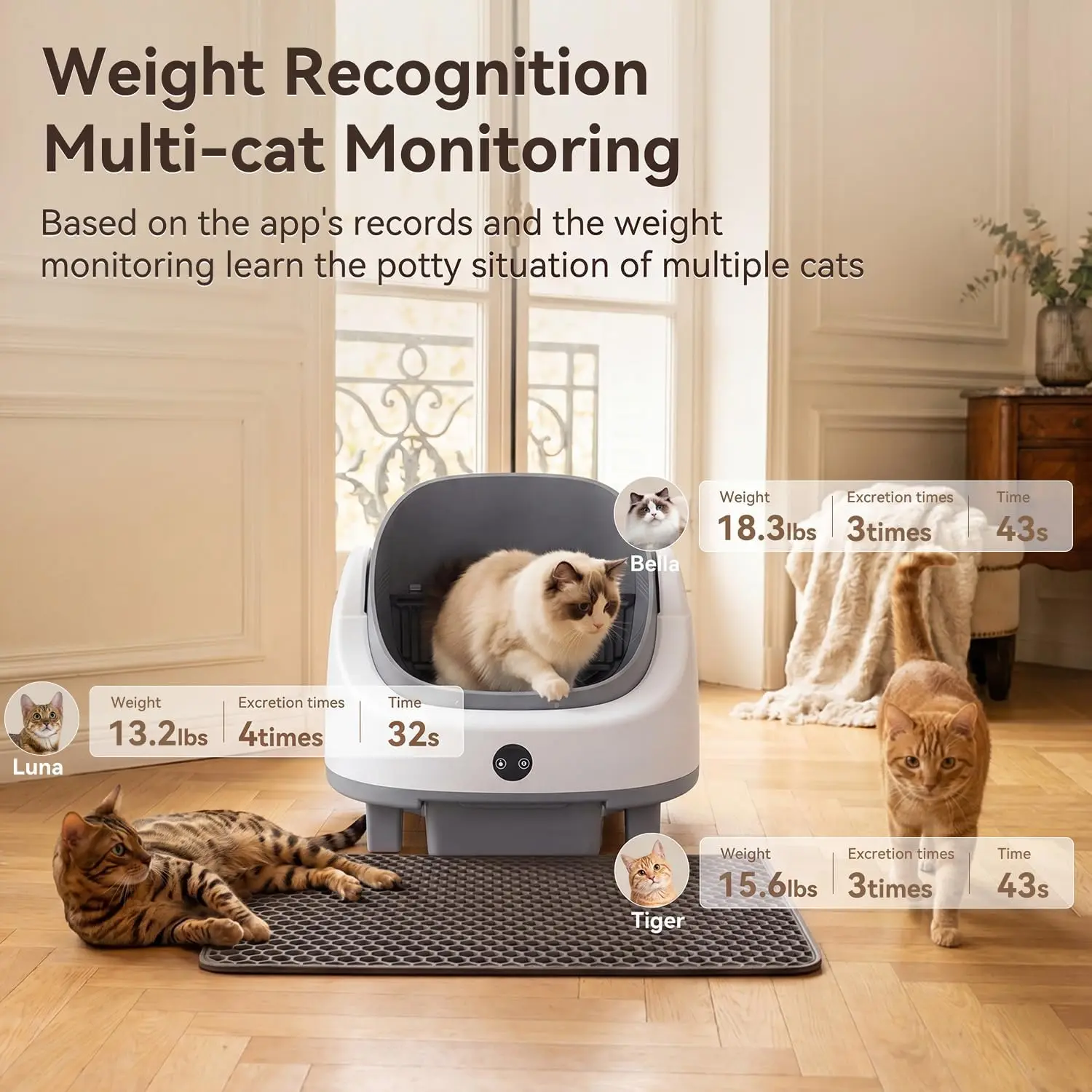 Nordivale Automatic Self Cleaning Litter Box App Control - Image 4