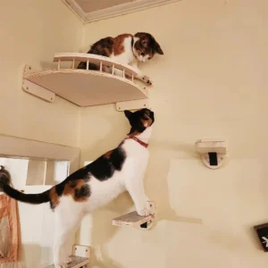 Cat Climbing Shelf Wall Mounted Four Step Stairway With Sisal Scratching Post For Cats Tree Tower Platform Jumping Pet Furniture - Thumbnail Image 4