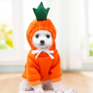 Cute Cartoon Fruit Frog Banana Carrot Pet Hoodie, Costume for Small Puppy Cat, Outfit for Chihuahua French Bulldog - Thumbnail Image 4